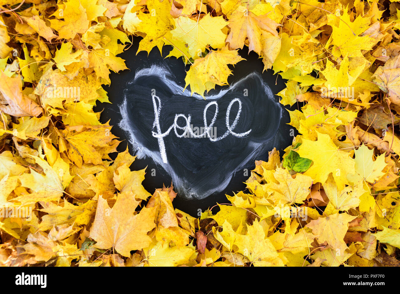 Blackboard with frame of leaves in heart shape. Word FALL is written there Stock Photo