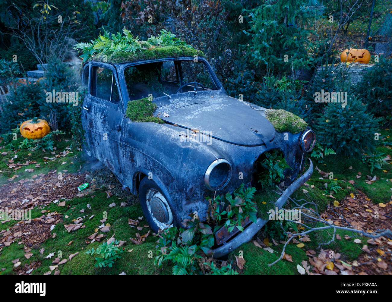 Old car lost in the forest, Halloween weeks at Liseberg in Gothenburg Stock Photo