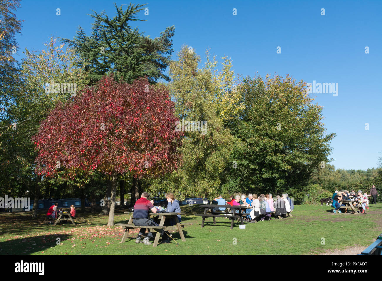 People sitting and eating at picnic tables outside the Basingstoke Canal Visitor Centre in Mytchett, Surrey, UK, on a sunny autumn day Stock Photo