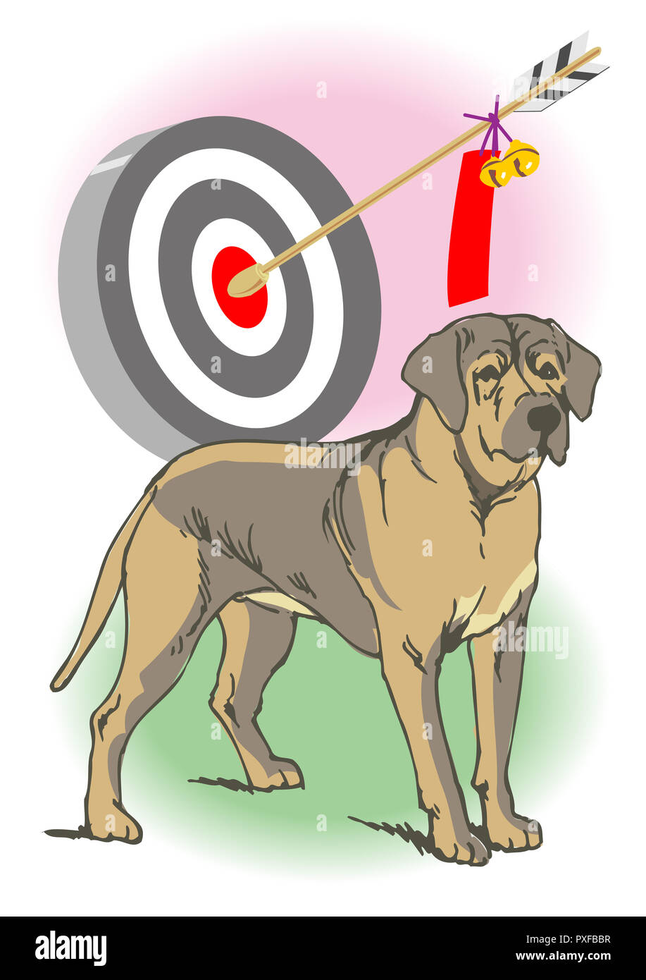 Tosainu hi-res stock photography and images - Alamy