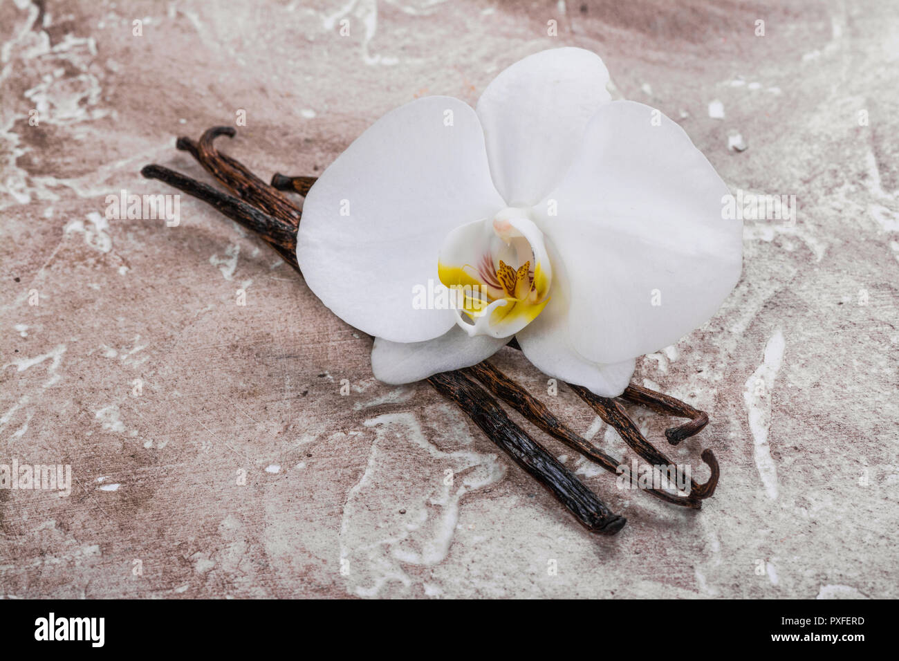 Vanilla pods and flower Stock Photo Alamy