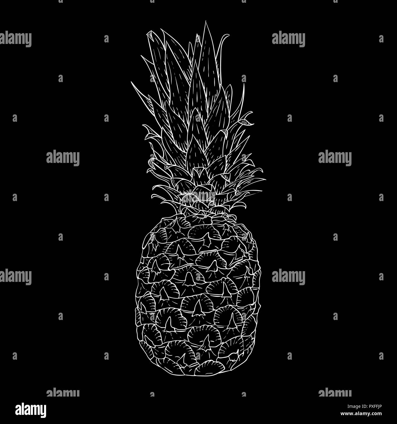 Pineapple plant Black and White Stock Photos & Images Alamy