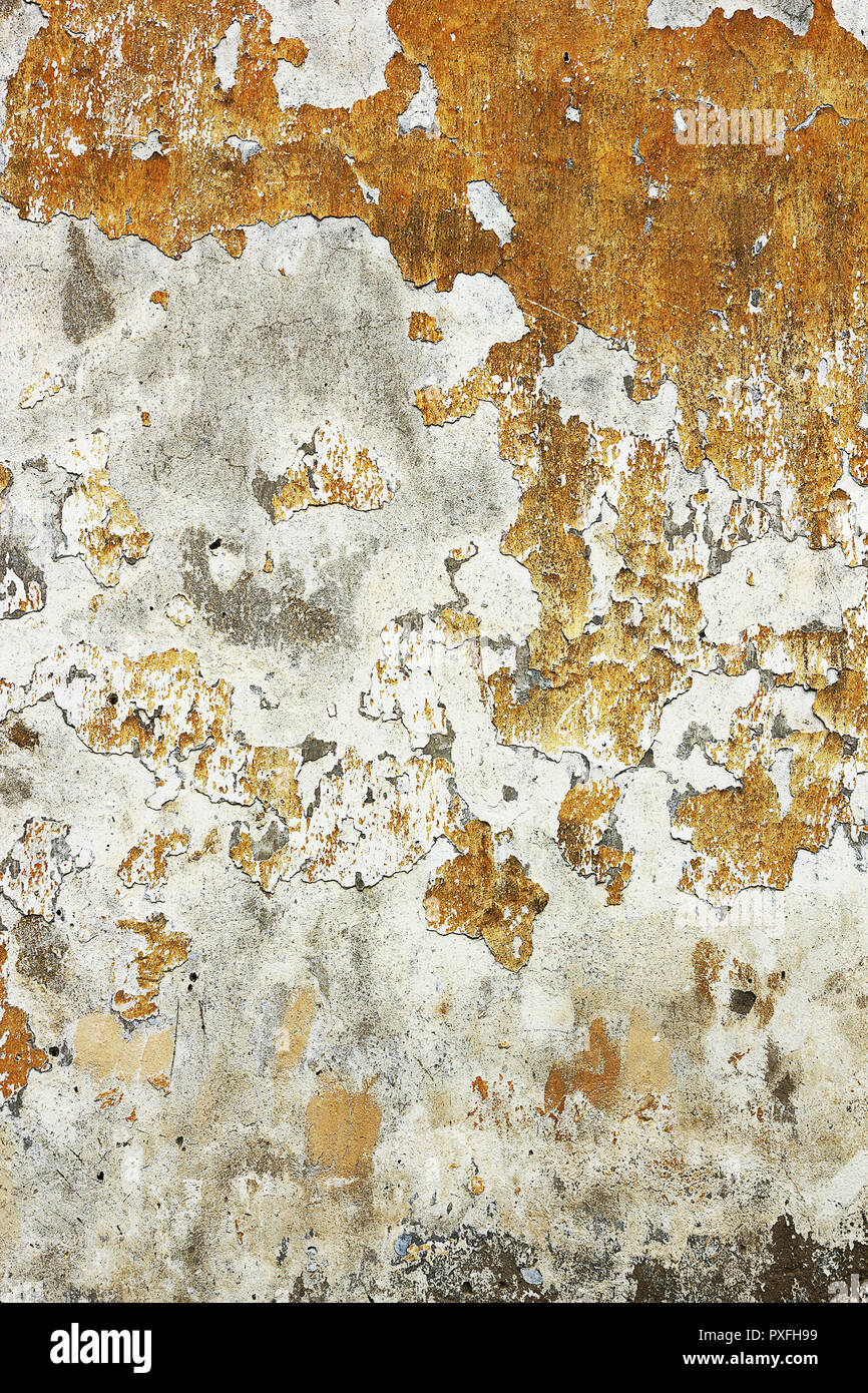 weathered plaster surface, effects of rising water in wall Stock Photo
