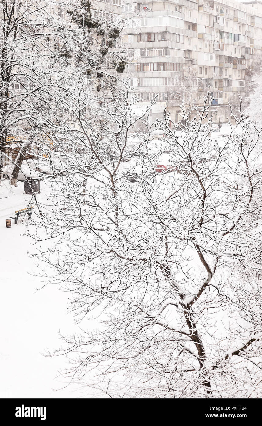 Trees under a thick layer of snow on the background of high-rise ...