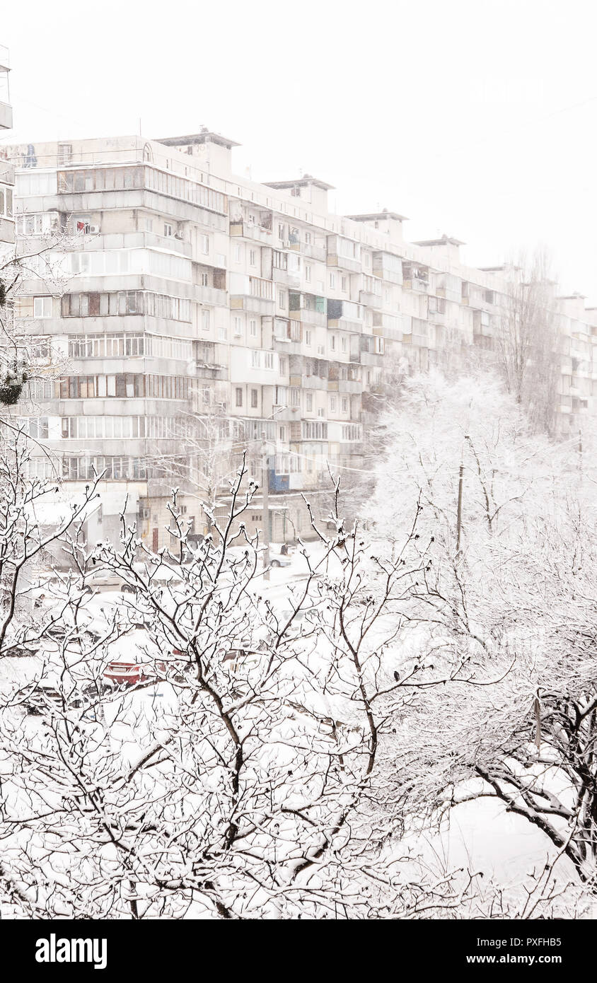 Trees under a thick layer of snow on the background of high-rise ...