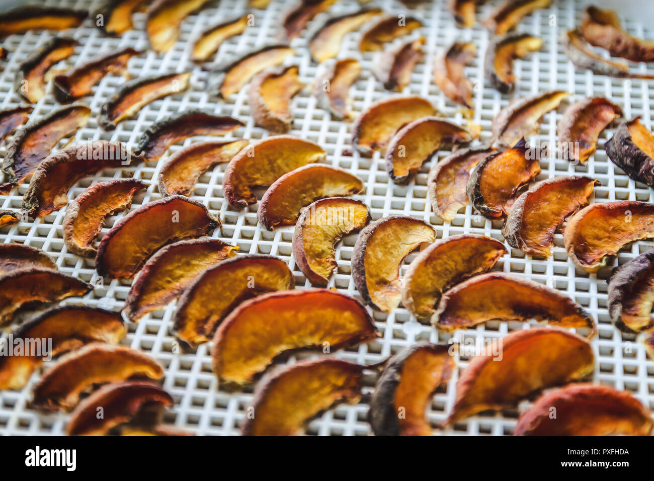 Peaches dried in a dehydrator dryer. A way to preserve vitamins