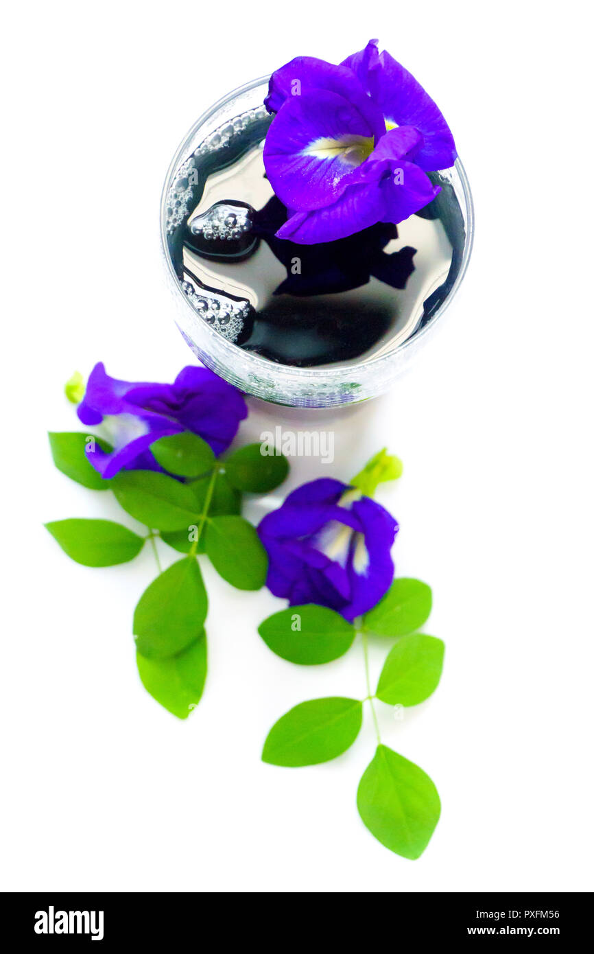 Refreshing Drink of Butterfly Pea Flower,Butterfly Pea Juice Stock