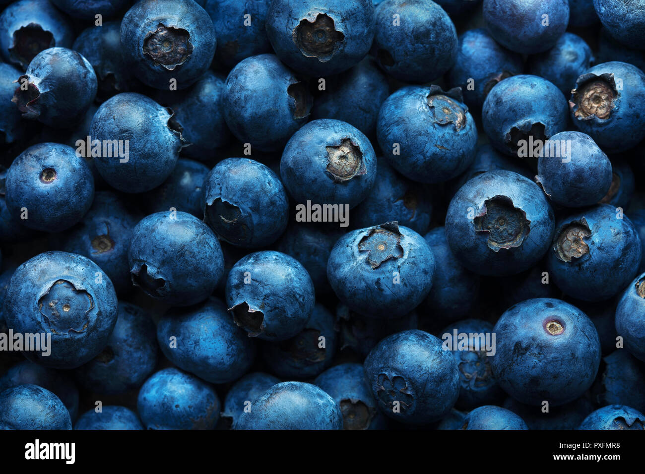 Blueberries background photographed from above full frame texture Stock Photo