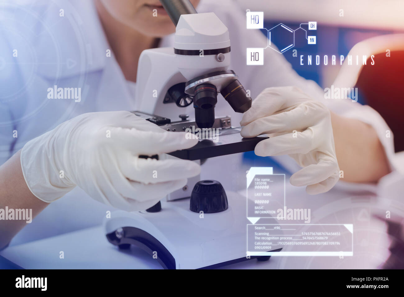 Careful scientist holding a microscope slide and looking at it Stock Photo