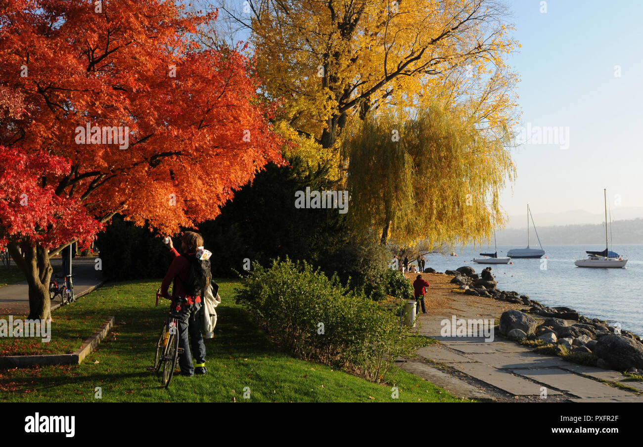 Switzerland: Autum colors at Lake Zürich in Seefeld Stock Photo