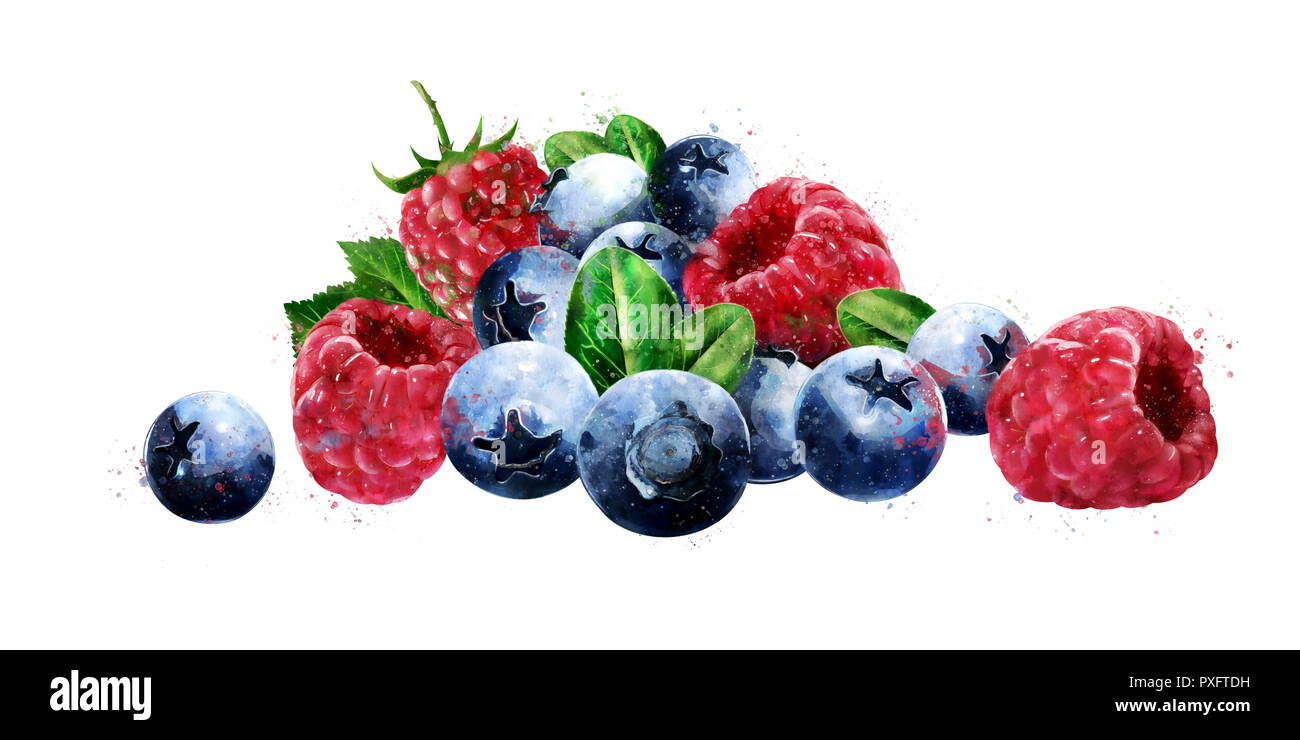 Raspberries, cranberries and blueberries on white background. Watercolor illustration Stock
