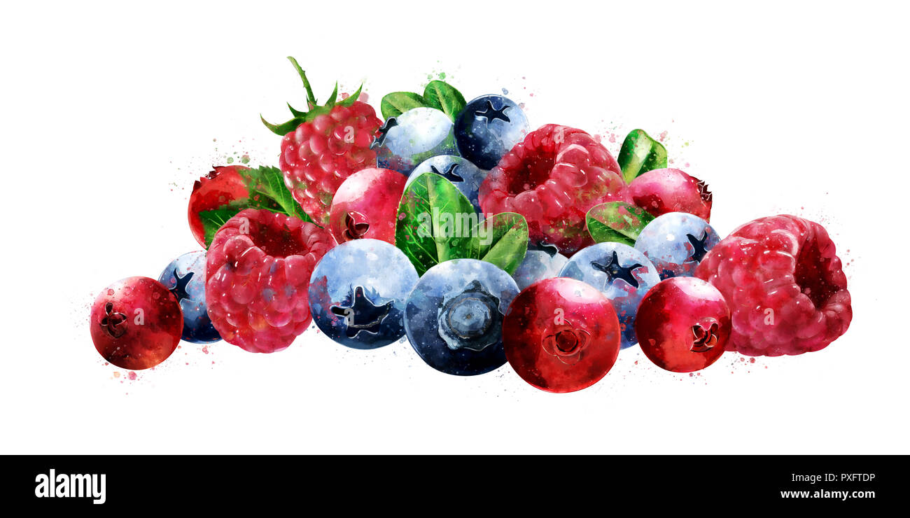 Raspberries, cranberries and blueberries on white background