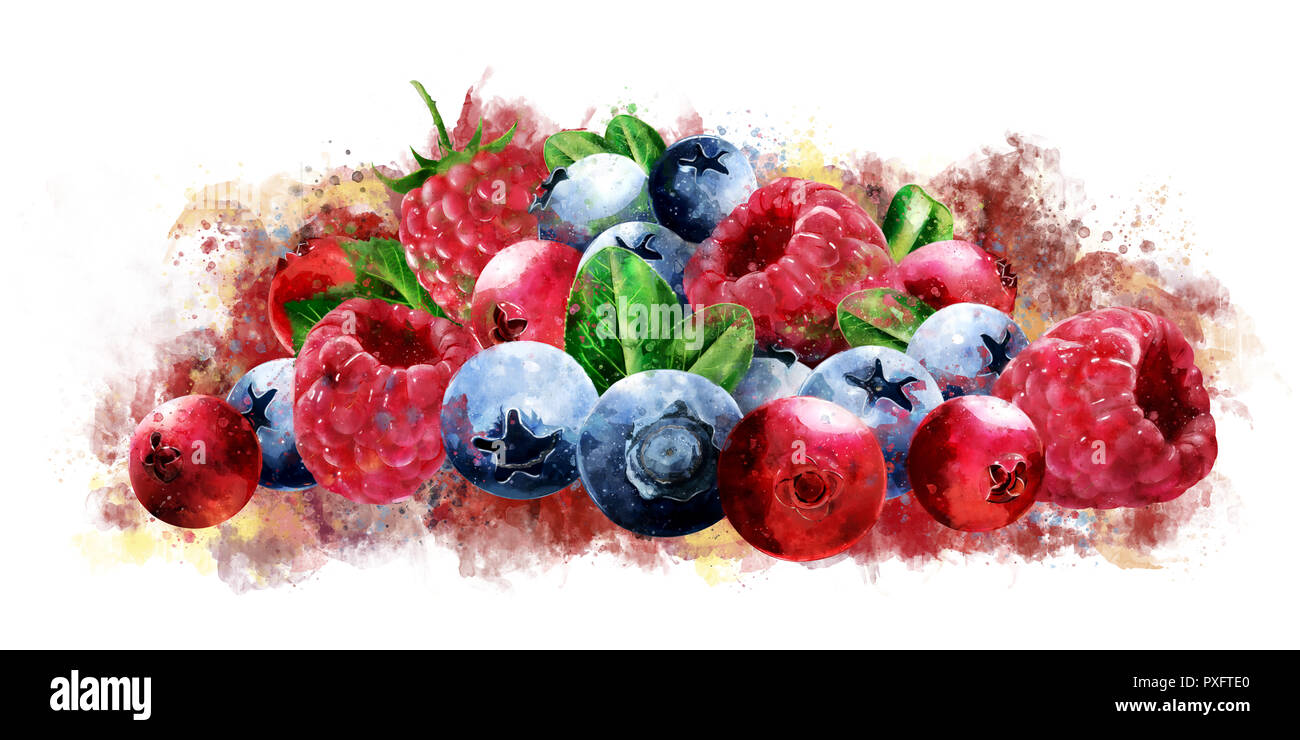 Raspberries, cranberries and blueberries on white background. Watercolor illustration Stock