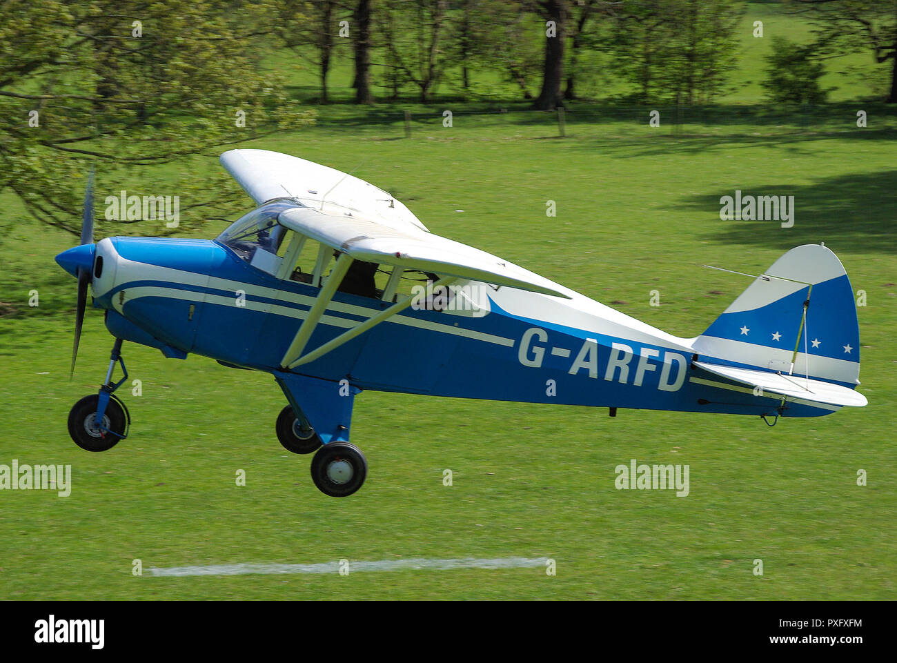 Piper PA-22 Tri pacer plane taking off from Henham Park Suffolk countryside grass airstrip. G-ARFD. Tripacer high wing monoplane light aircraft Stock Photo