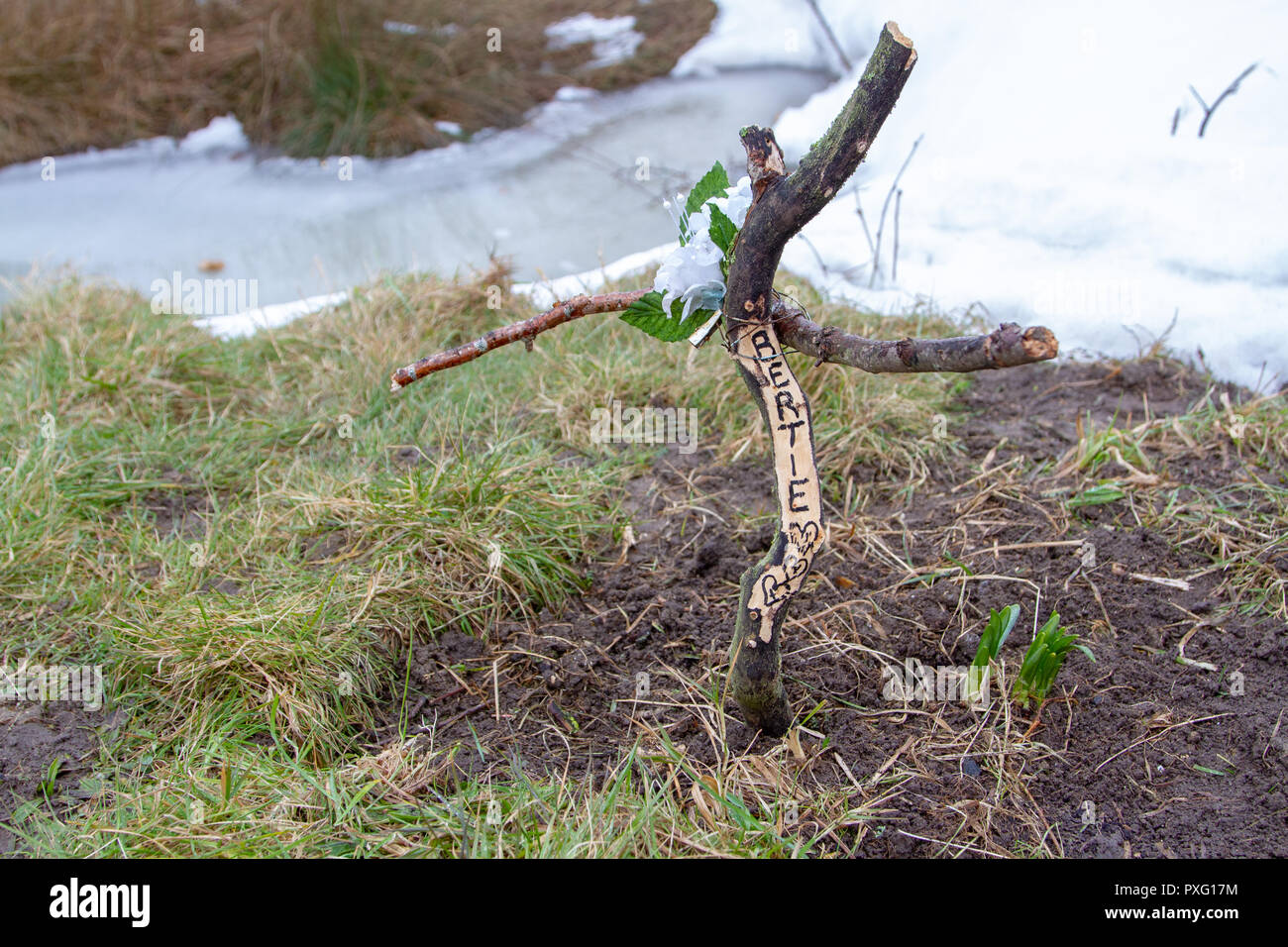 Hand made cross on a pet's grave Stock Photo - Alamy