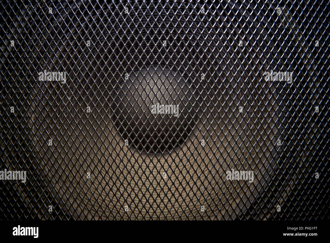 Musical powerful speaker with a protective grill close-up. Stock Photo