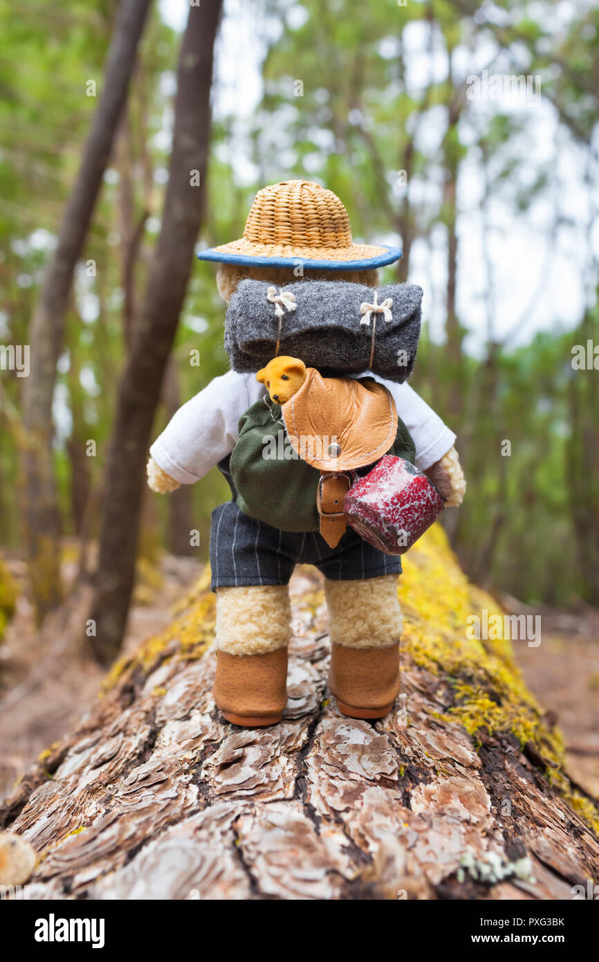 Cute little teddy bear backpacker travels with vintage miniature equipment along tree trunk through forest Stock Photo