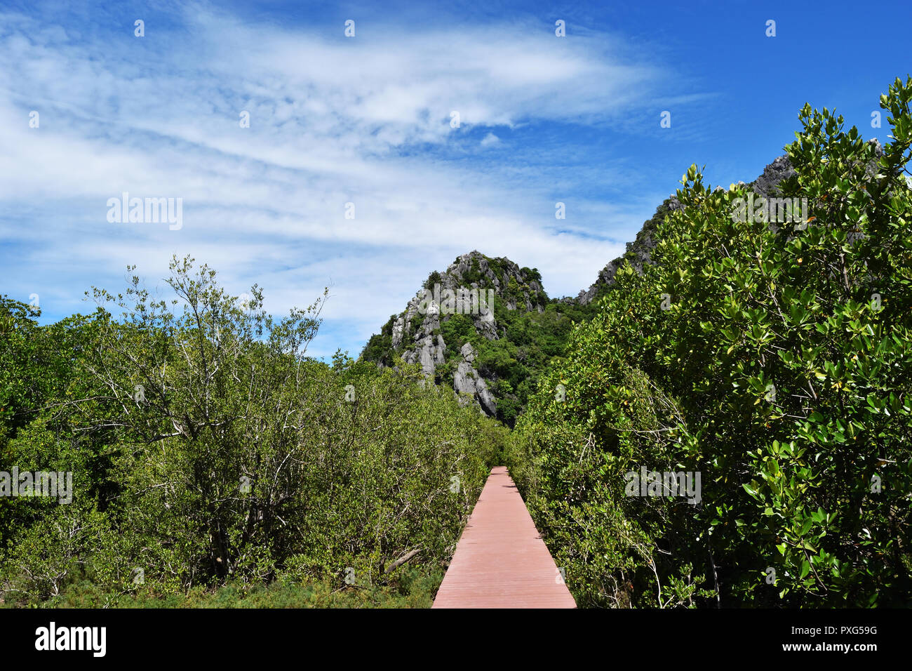 Limestone mountain with red wooden bridge and leaf bush in mangrove forest, Altostratus cloud on beautiful blue sky, Khao Sam Roi Yot National Park Stock Photo