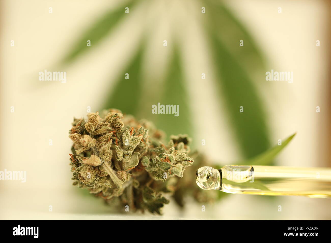 oil hemp products medical cannabis Stock Photo
