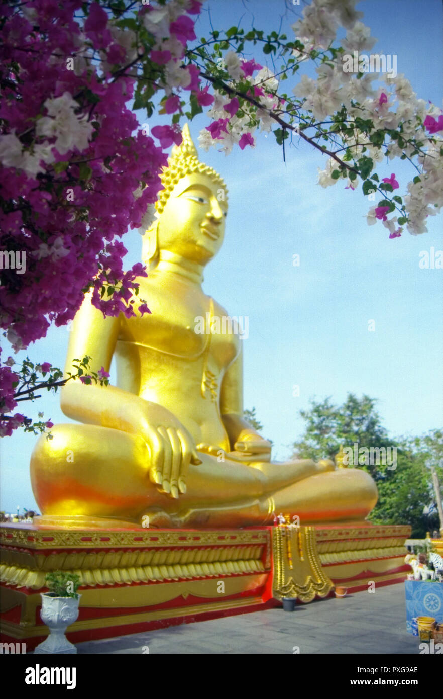 A statue of a golden Buddha who sits in a lotus pose. Attention! The ...