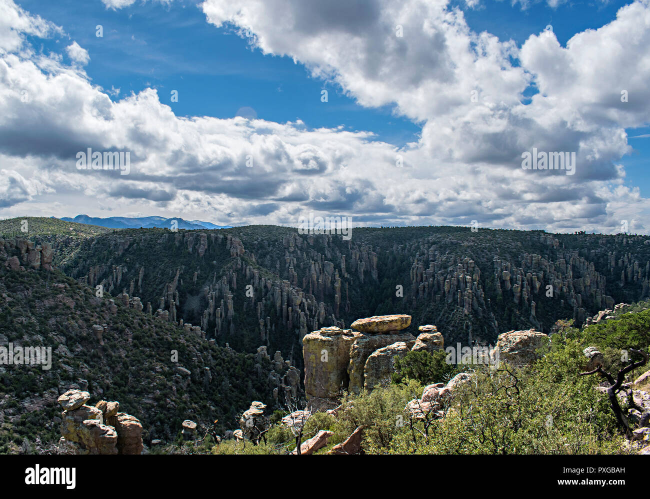 Chiricahua National Monument, Arizona, USA Stock Photo