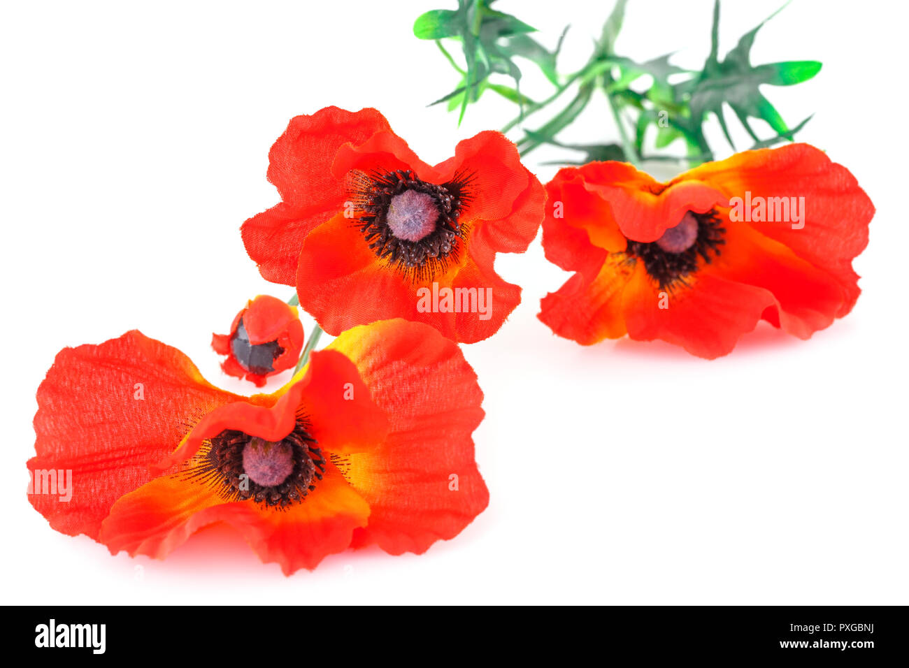 Red fabric poppies isolated on white background Stock Photo - Alamy