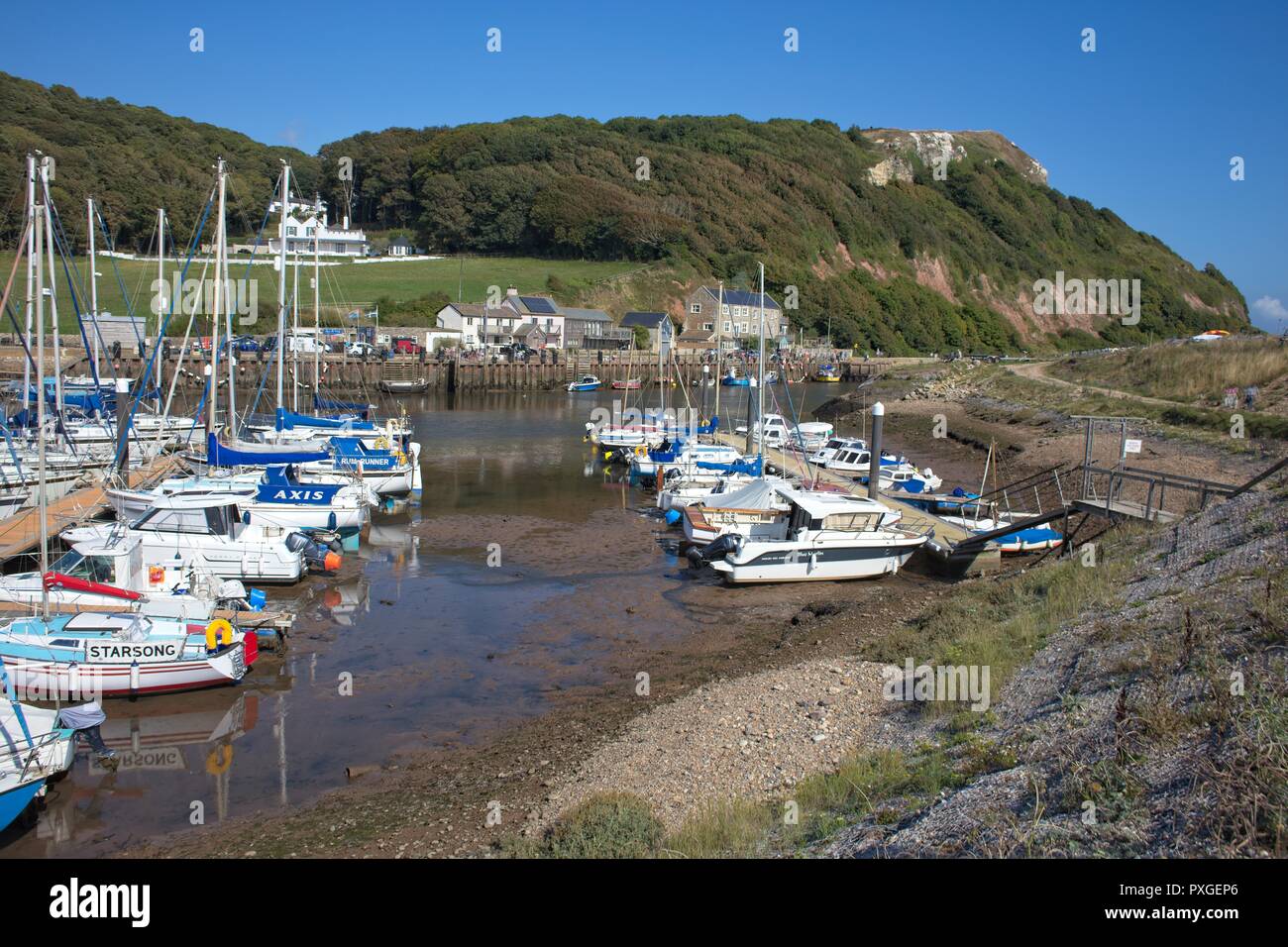 seaton devon yacht