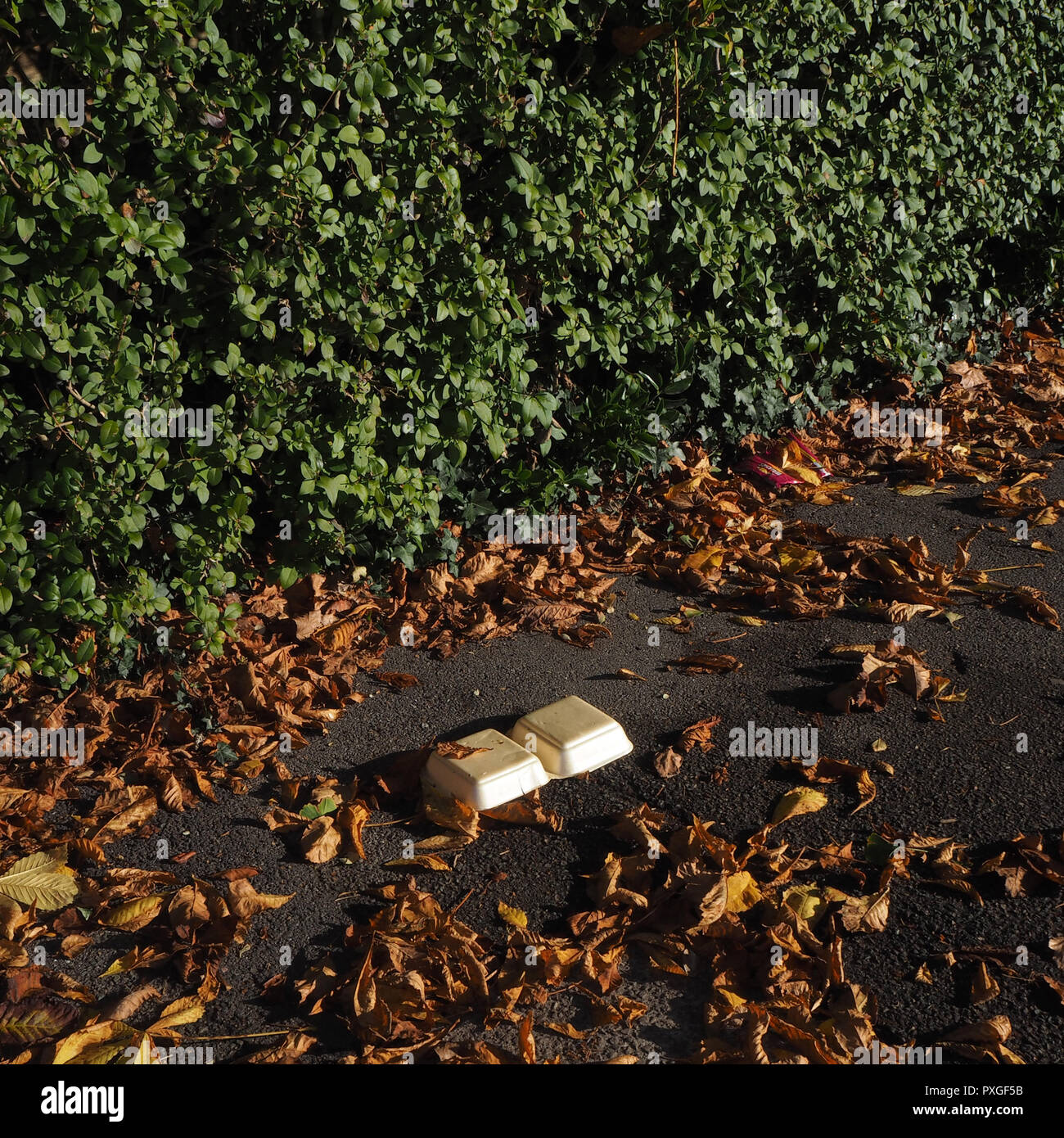 Litter Stock Photo