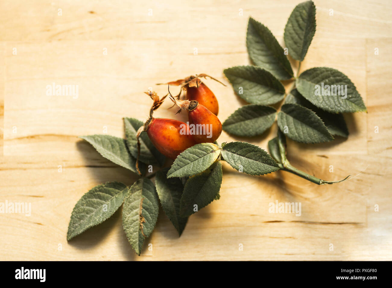 rosehip berries branch with leaves natural background Stock Photo Alamy
