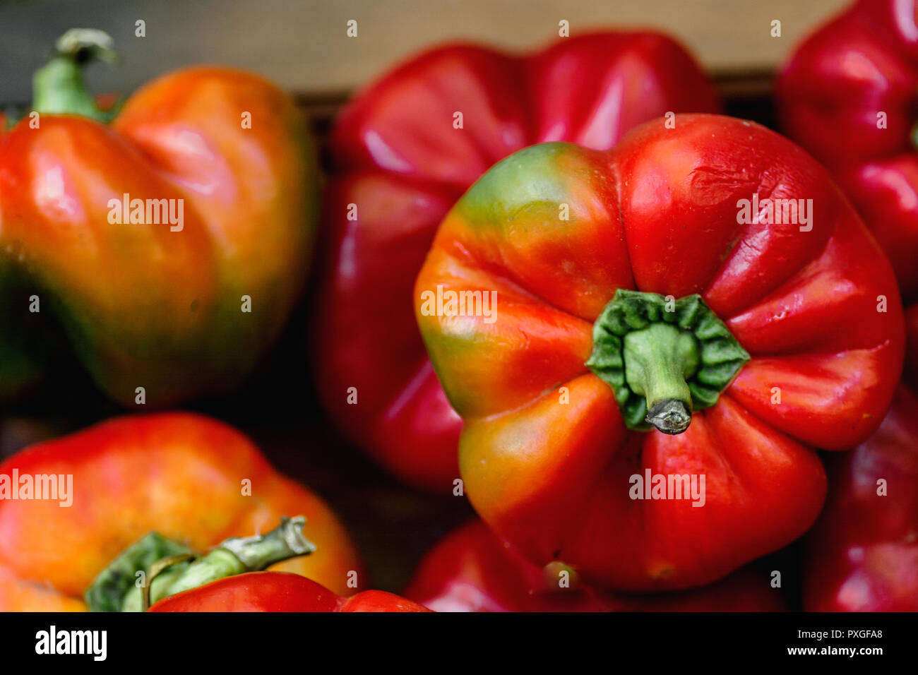 red hot pepper round shape natural background Stock Photo