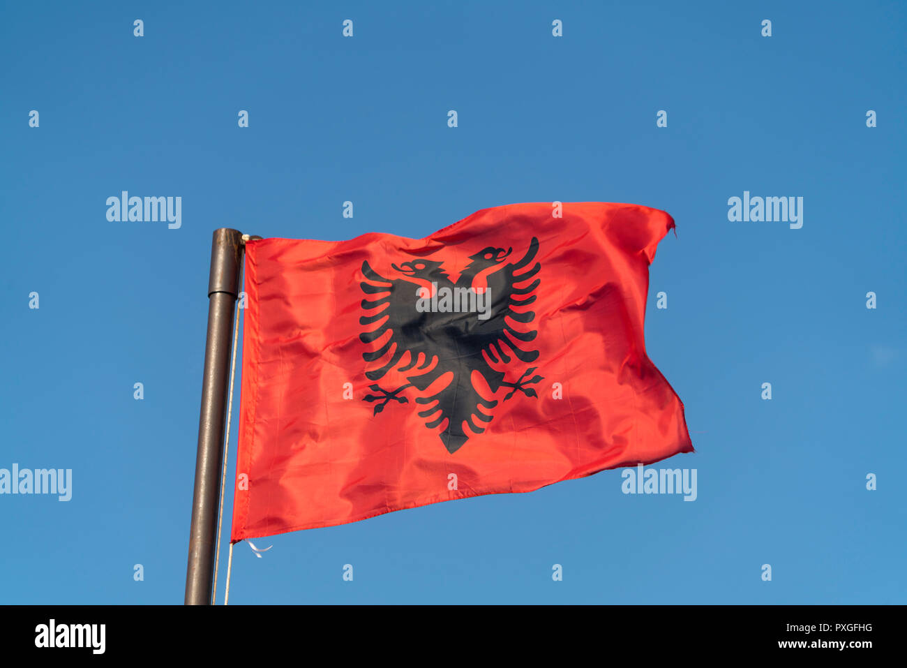 Flagge von Albanien, Europa | Flag of Albania, Europe Stock Photo