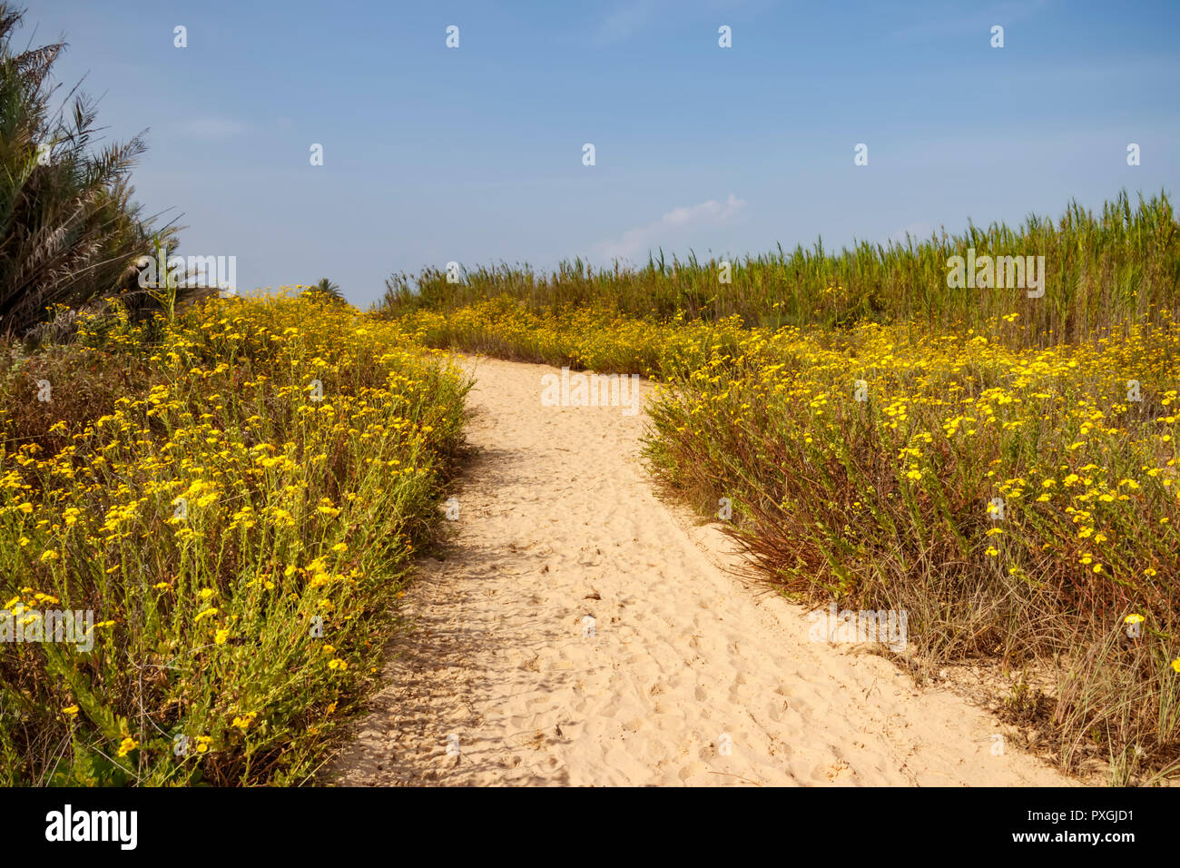 Sandy path hi-res stock photography and images - Alamy