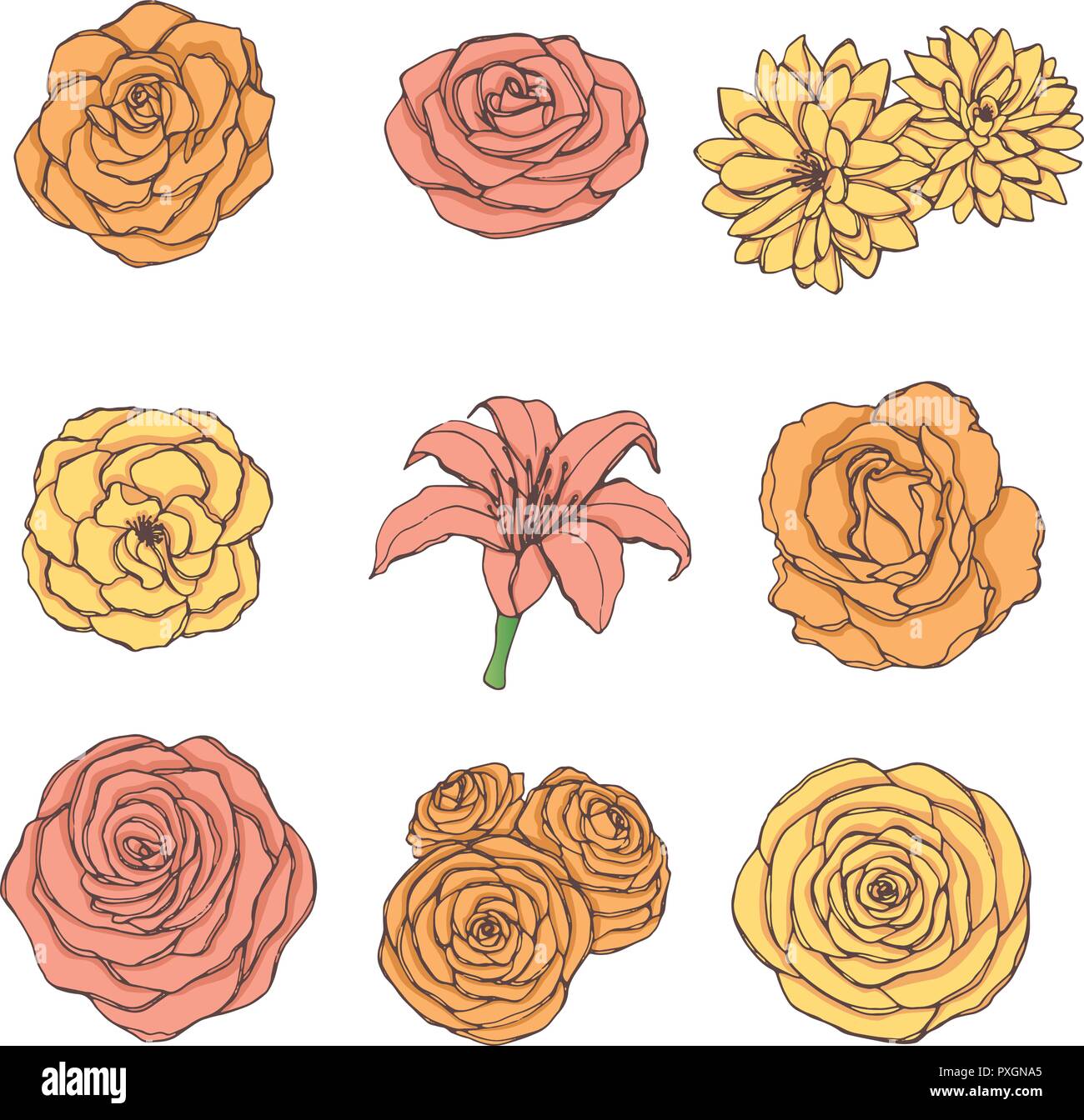Hand drawn vector set of rose, lily, peony and chrysanthemum flowers in yellow, orange and pink colors isolated on the white background. Vintage flora Stock Vector