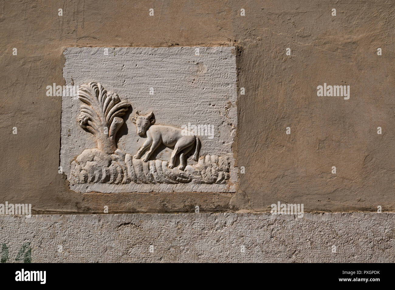 Animal tile hi-res stock photography and images - Alamy