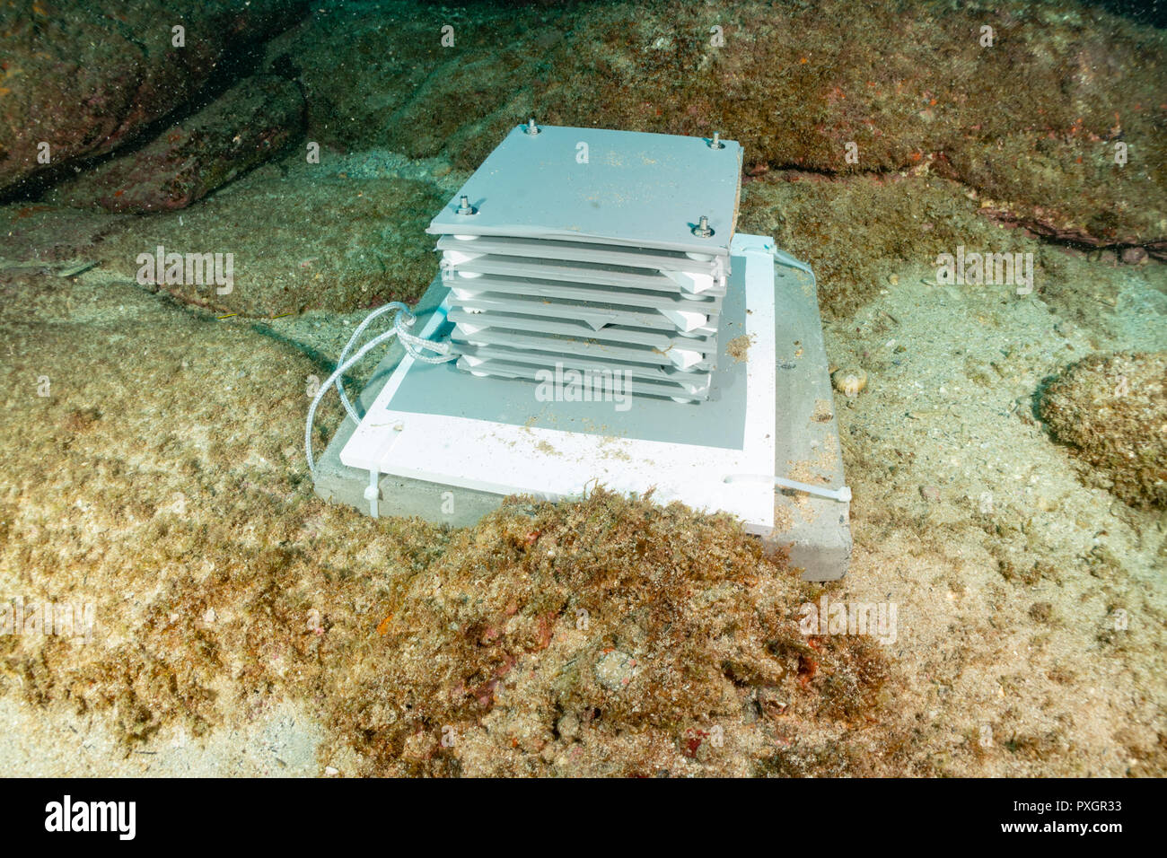 Autonomous Reef Monitoring Structures (ARMS), underwater Laje de Santos Marine state park, São Paulo state shore, brazil Stock Photo