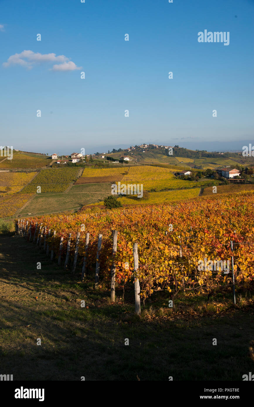 View over the vineyards just outside the small town of Monferrato in Piedmont, Italy Stock Photo