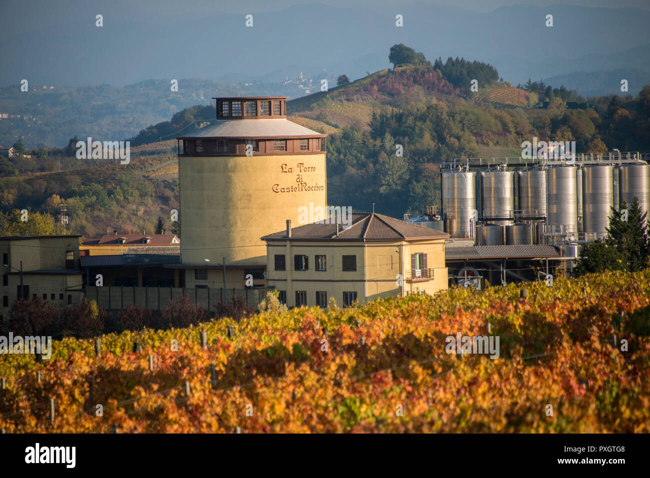 The vinery tower at the La Torre di Castel Rocchero just outside the town of Monferrato in Piedmont, Italy Stock Photo
