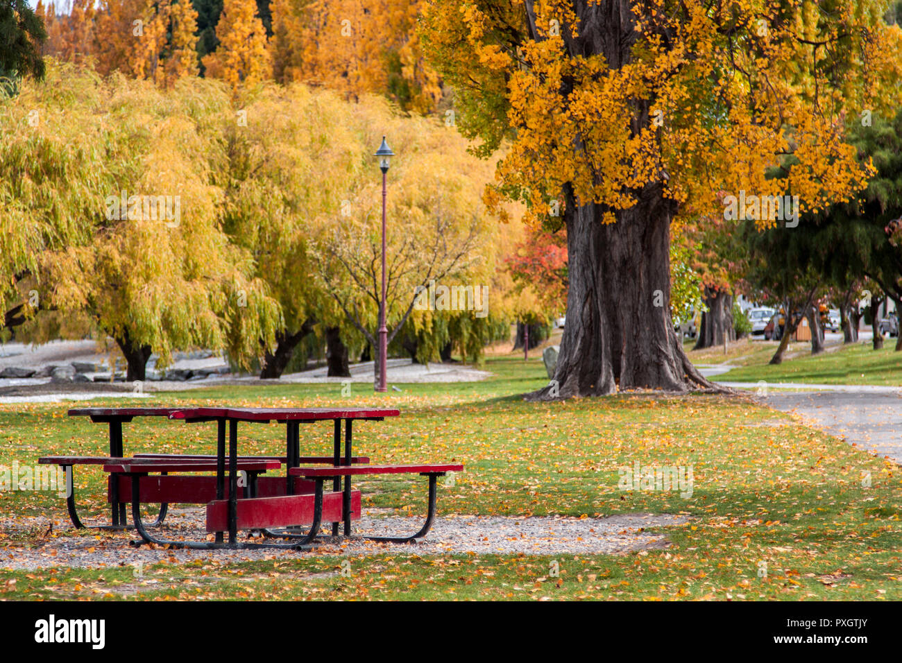 Saint Omer Park, Queenstown, New Zealand Stock Photo Alamy