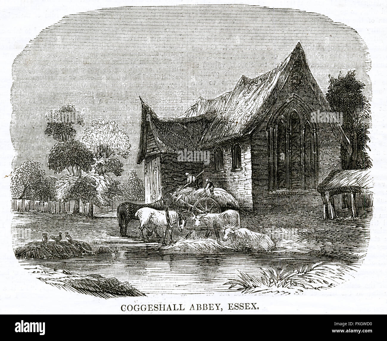 Coggeshall Abbey Colchester Essex Date 1842 Stock Photo