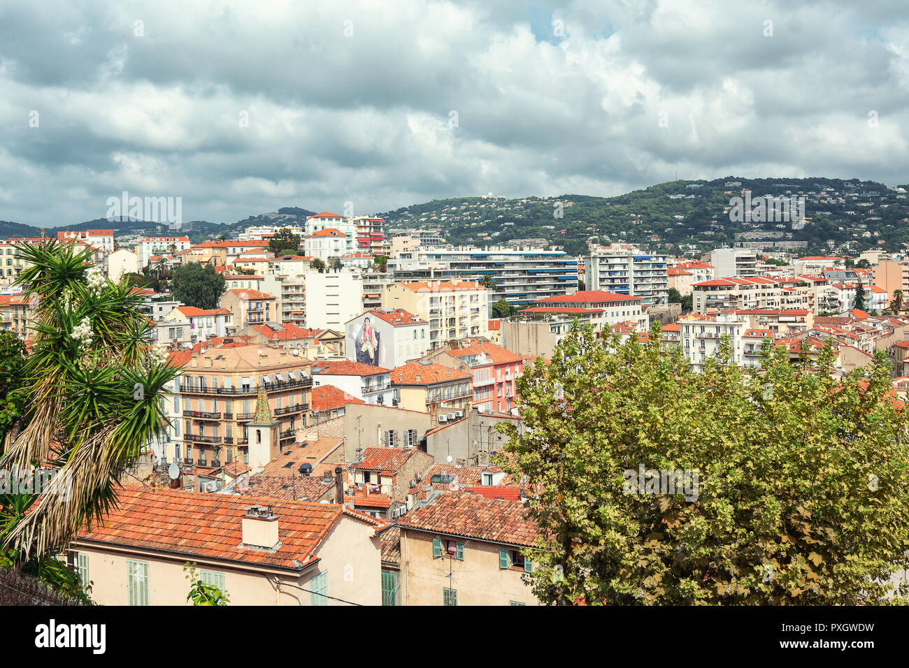 Cannes Top