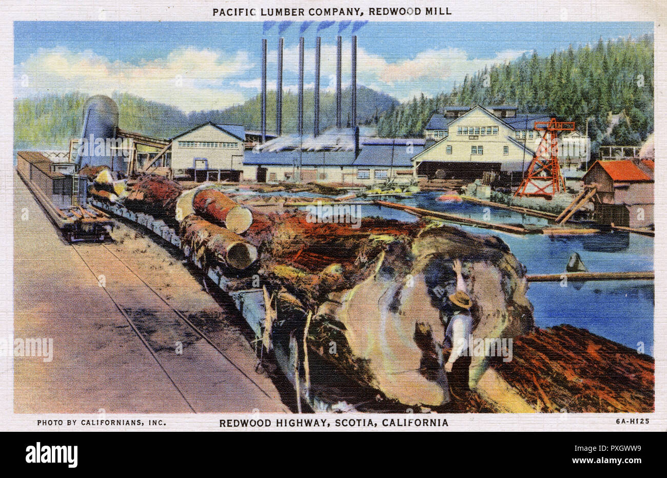 Redwood Highway, Scotia, California, USA Pacific Lumber Company