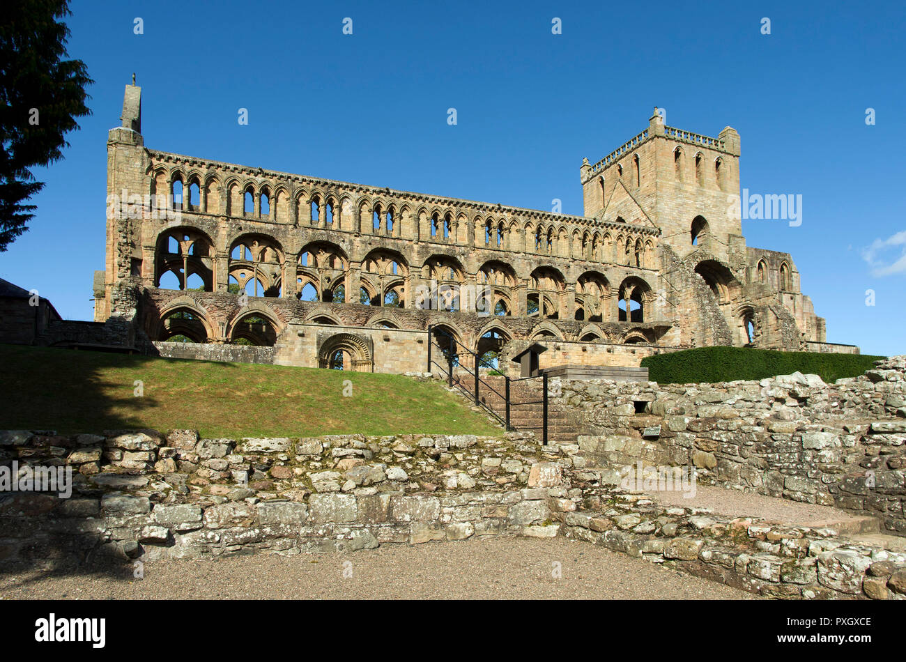 Ruins of Jedburgh Abbey 12th century Augustinian Abbey and monastry. Mix of Romanesque and Gothic architecture Stock Photo