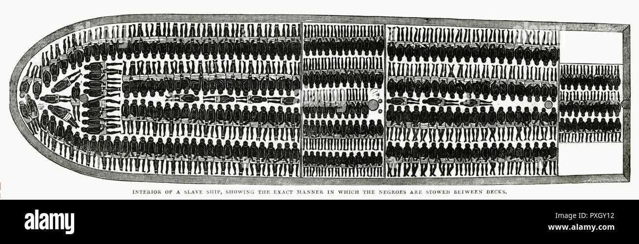 Interior Of A Slave Ship Showing The Exact Manner In Which