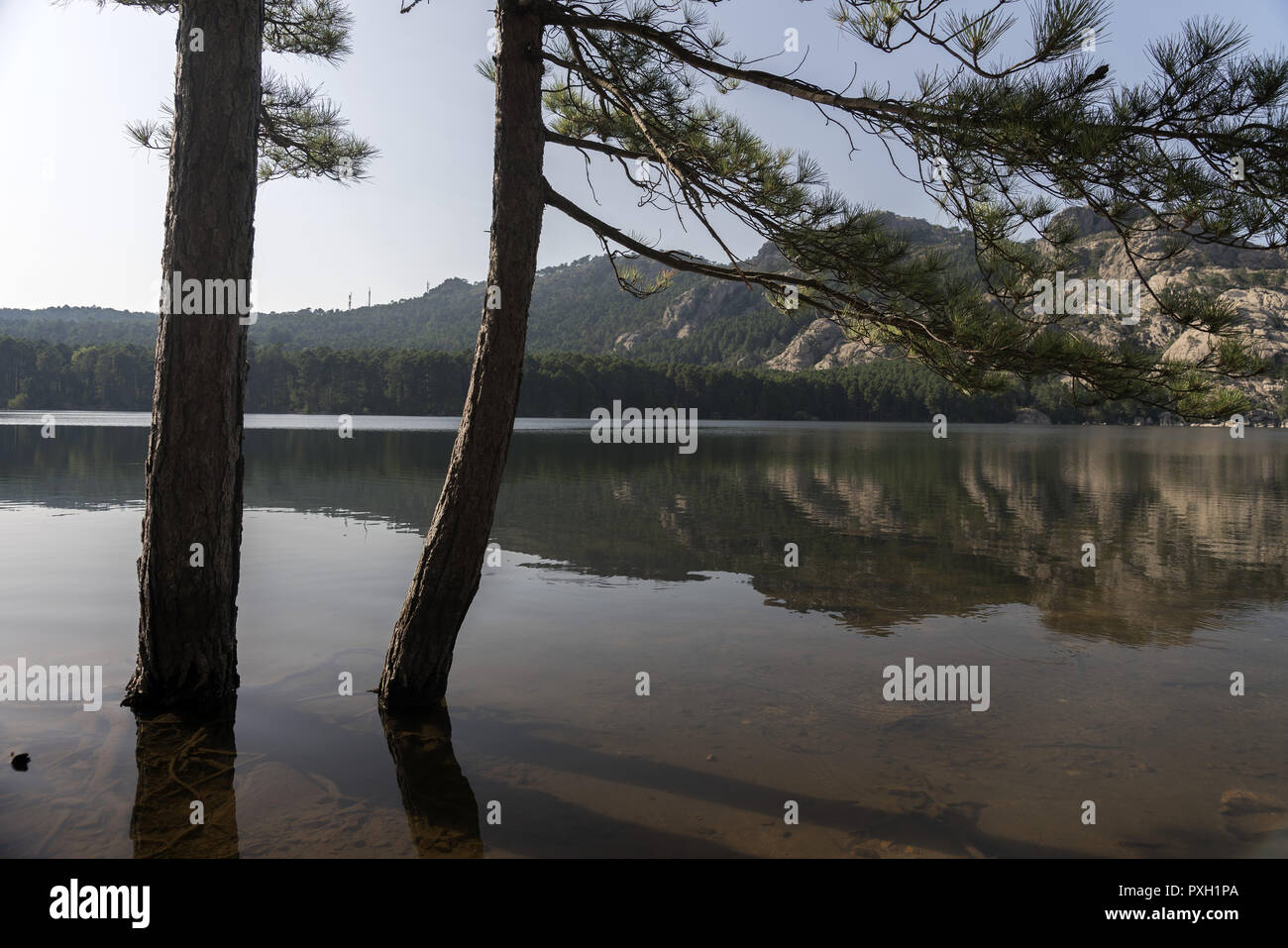 Reflected in the water of the mountains surrounding the Lac de L'Ospédale. Spiegelt sich im Wasser der Berge. Odbite w wodzie góry okalające jezioro. Stock Photo