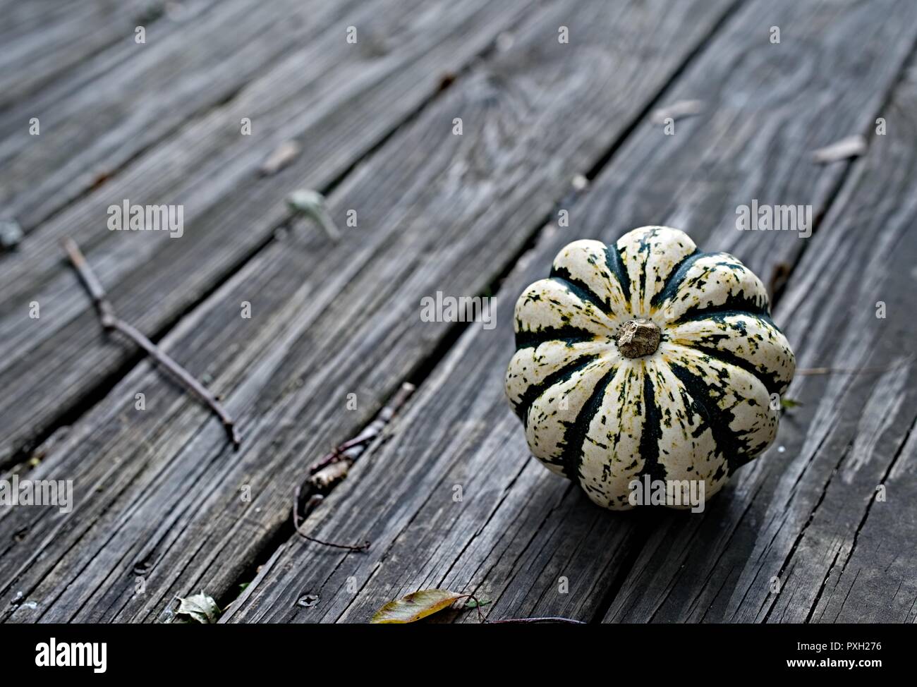 Colorful pumpkins on wooden background Stock Photo - Alamy