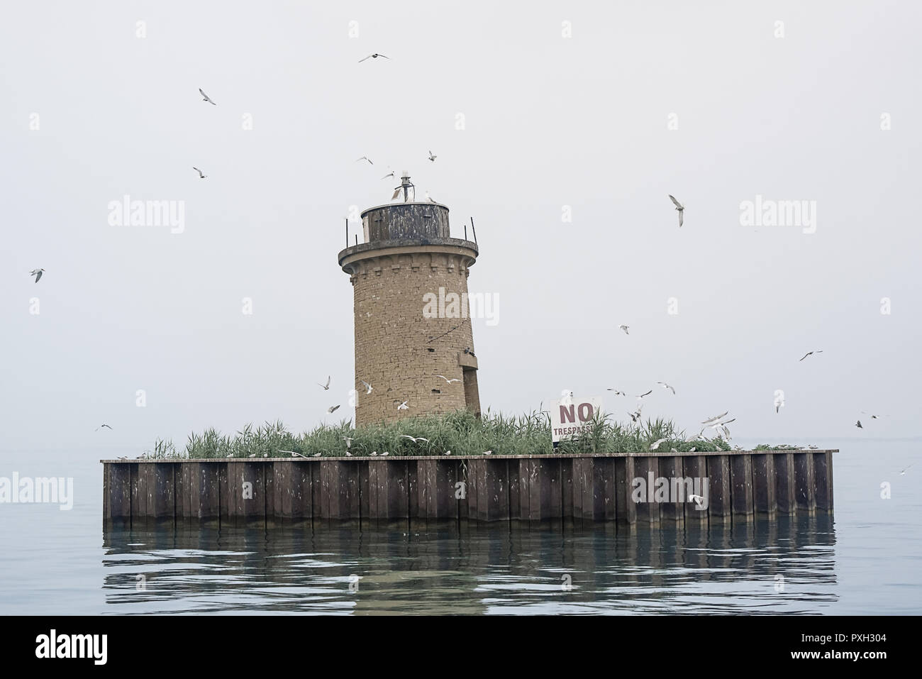 Tern Colony at South Channel Lights, Lake St. Clair, Michigan Stock Photo