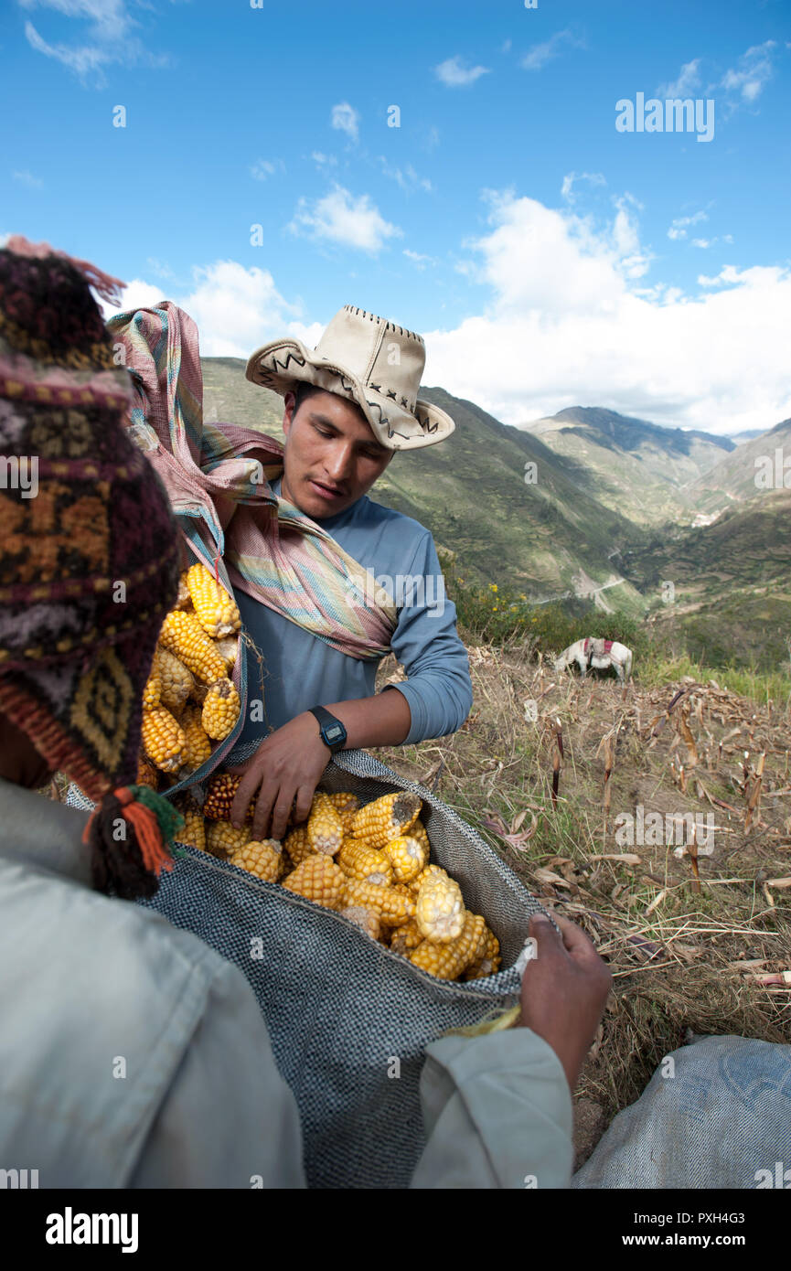 Benavides hires stock photography and images Alamy