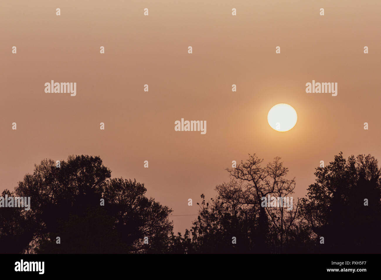 Sunset with sand suspended in the atmosphere, coluring the sky red, over some trees silhouettes Stock Photo