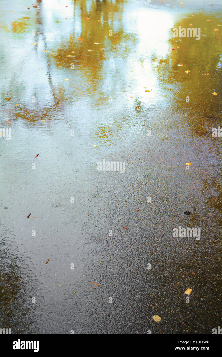 Autumn wet asphalt pavement with puddles, raindrops and yellow leaves after heavy rain Stock Photo