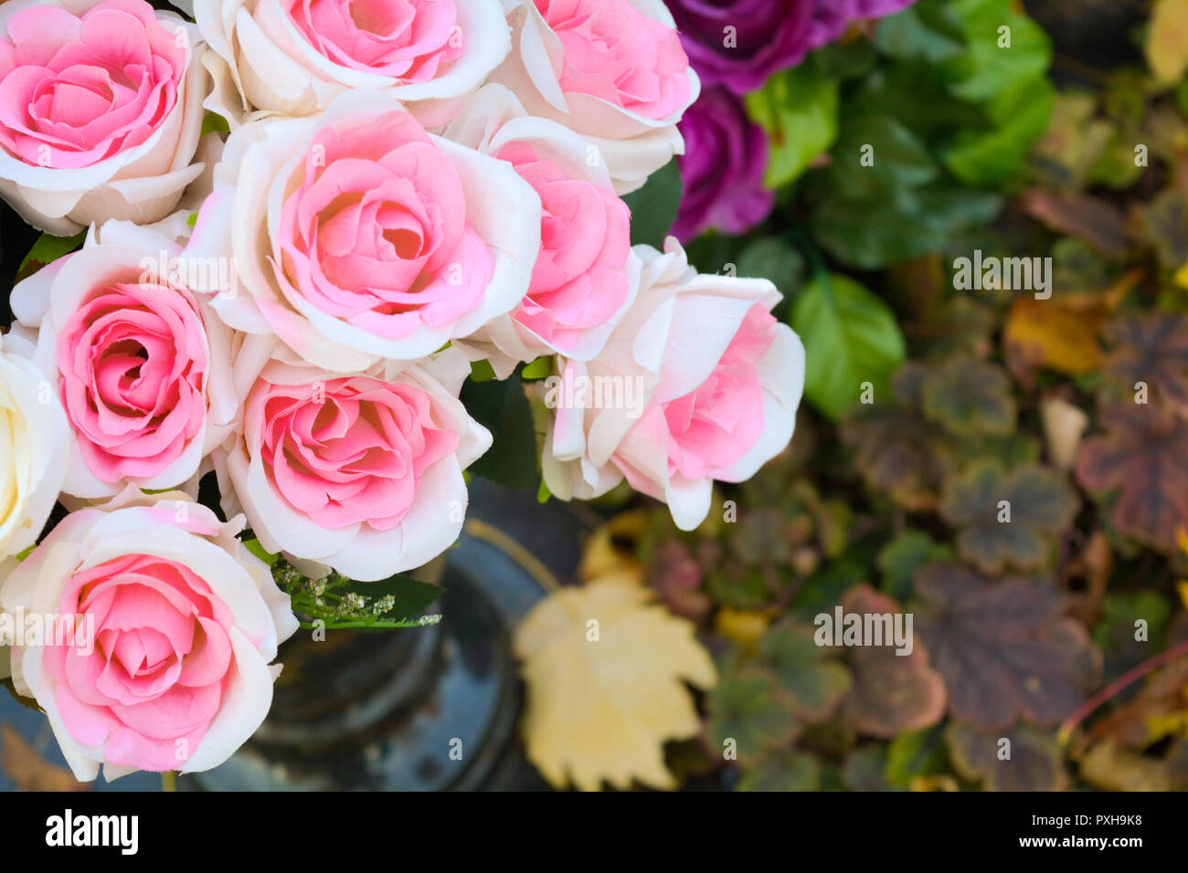 Bouquet of pink and white rose flowers in black stone vase on ...